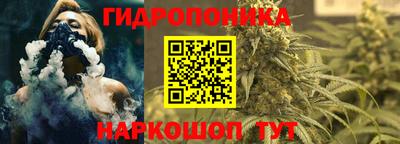 ECSTASY Абинск