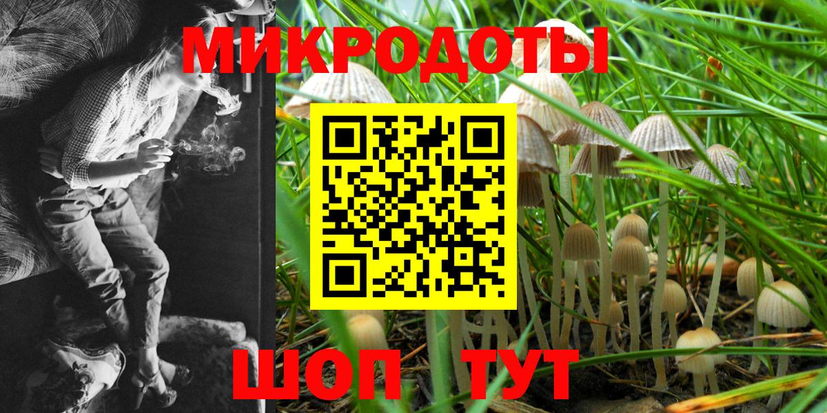 Псилоцибиновые грибы Psilocybe  Вход с VPN  Алексин 